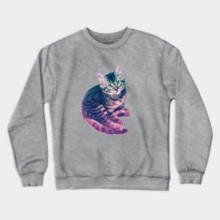 Kitten Crewneck Sweatshirt